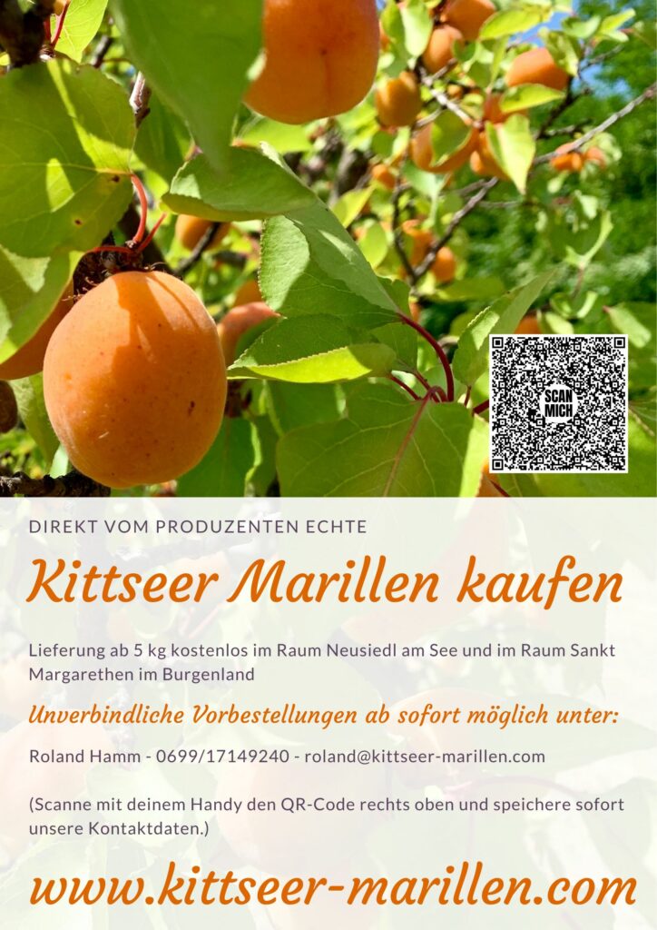 Kittseer Marillen kaufen