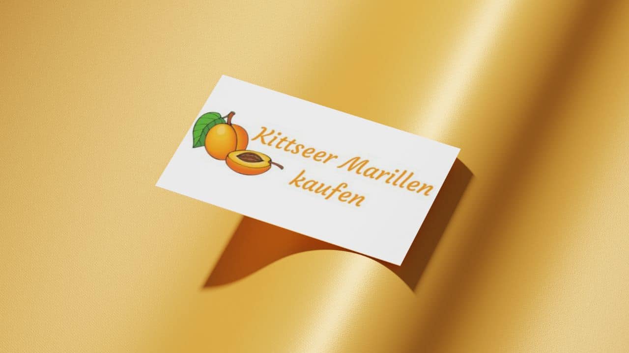 Kontakt