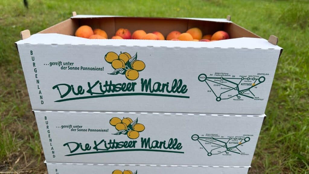 Die Kittseer Marille - Das Original