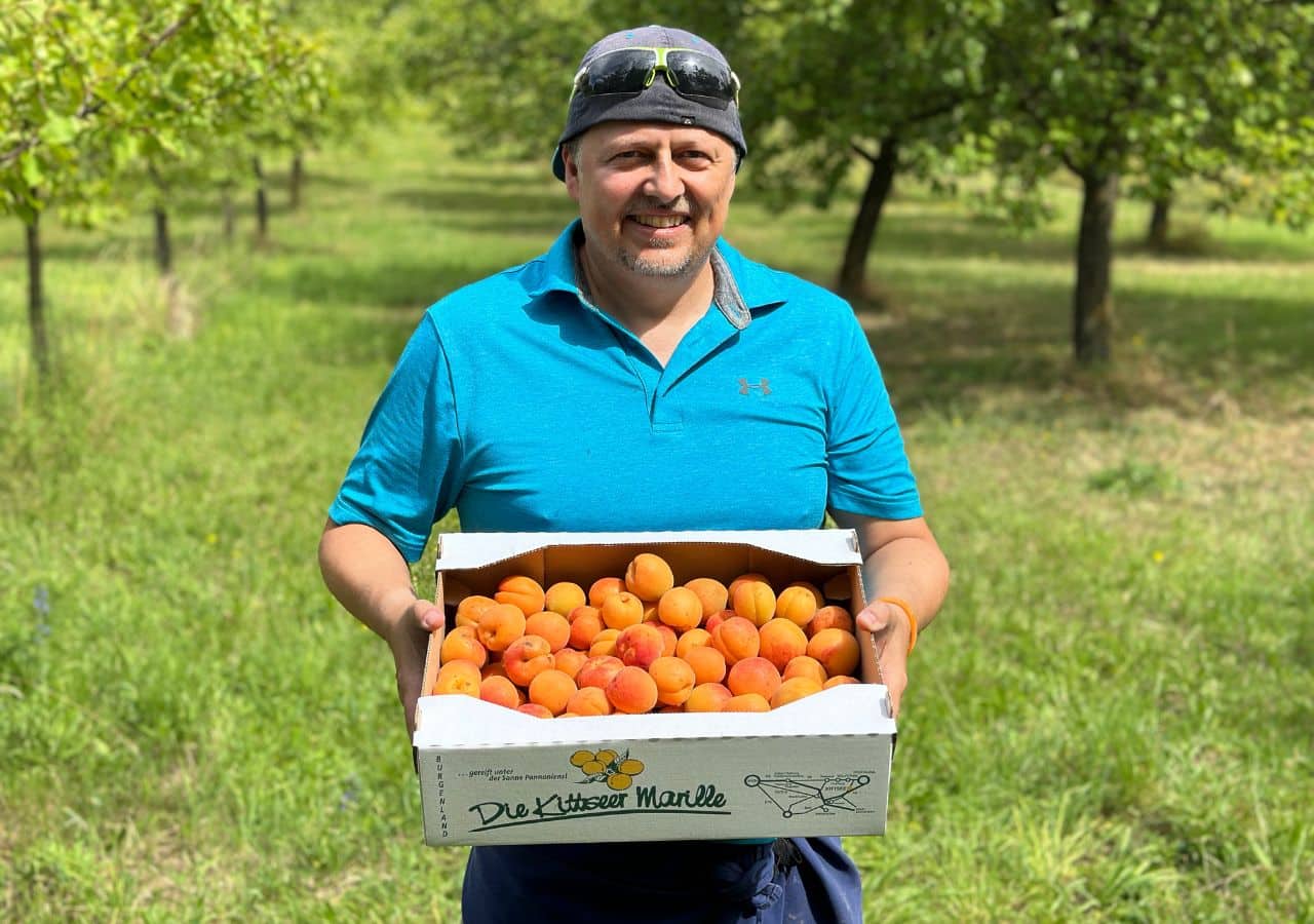 Roland Hamm mit Kittseer Marillen und Original Schachtel